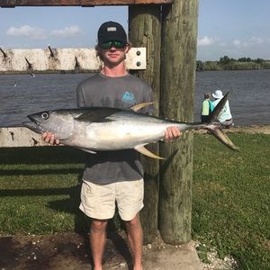 Meet your Posher, Harrison